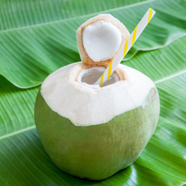 Coconut