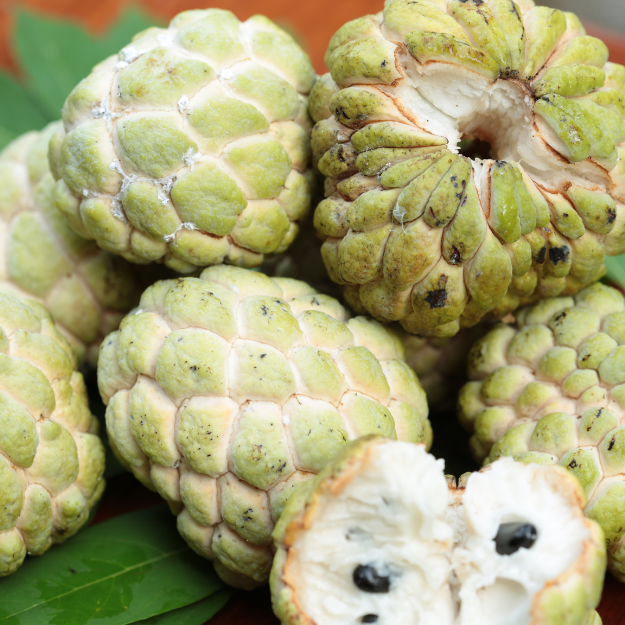 Fresh Custard Apple