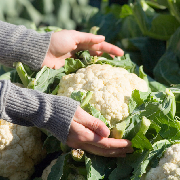 Cauliflower Image