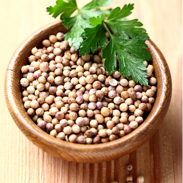 Dry Coriander