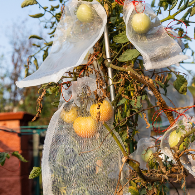 Agriculture Plant Protection Bag